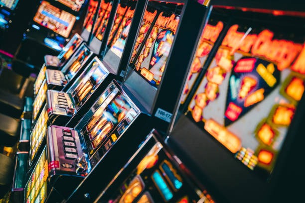 Video: How to review and export your betting history